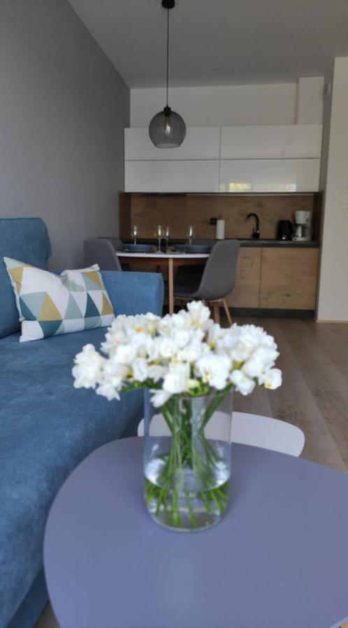 Apartament Kameleon Dźwirzyno Extérieur photo